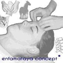 formation reiki cranio-sacral