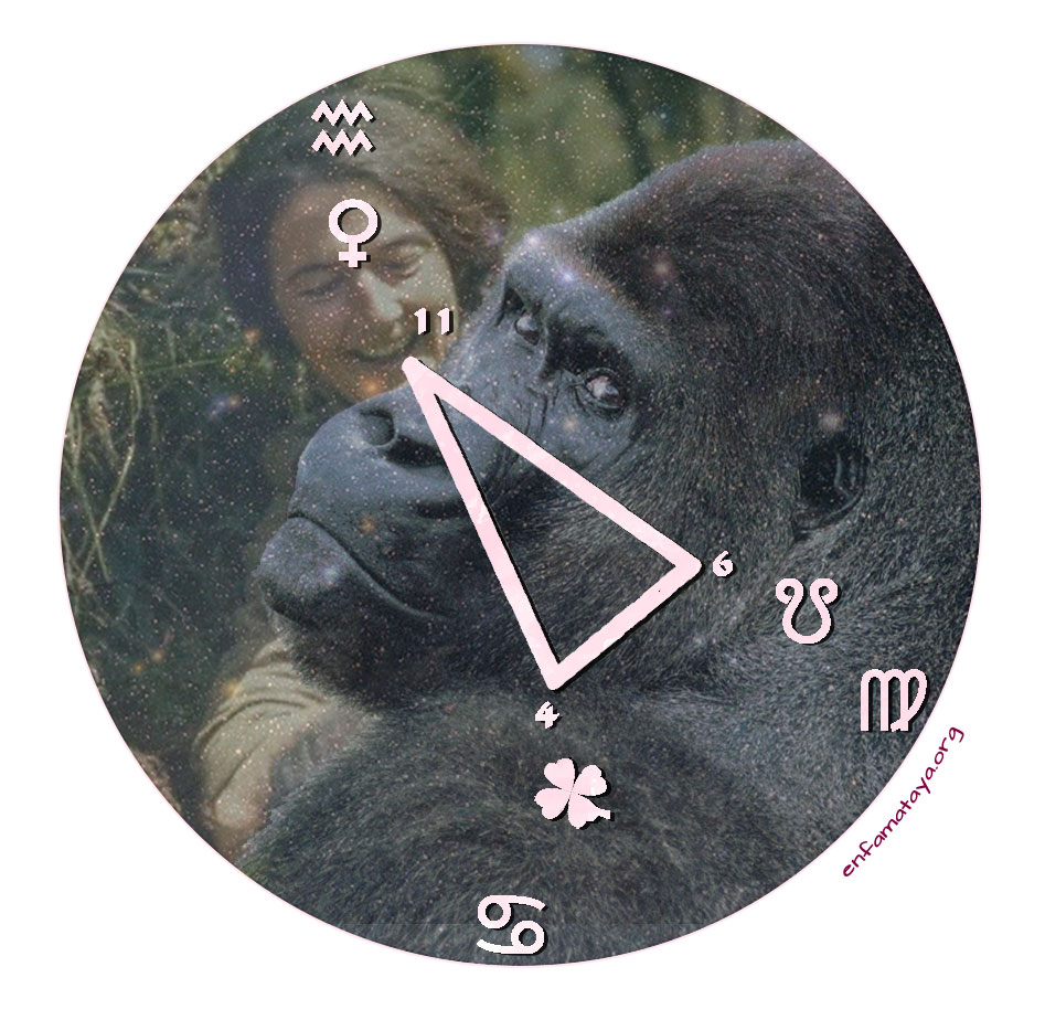 Le Yod du thème astral de Dian Fossey